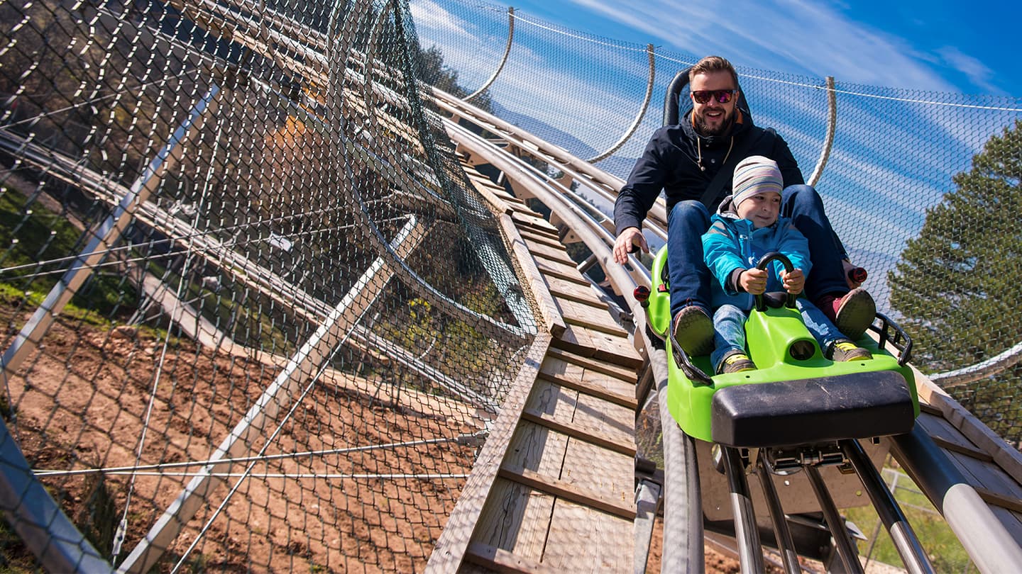 Alpine Slide Ride With Child Adult and child riding a bright green bobsled down a wooden alpine slide track on a sunny day.