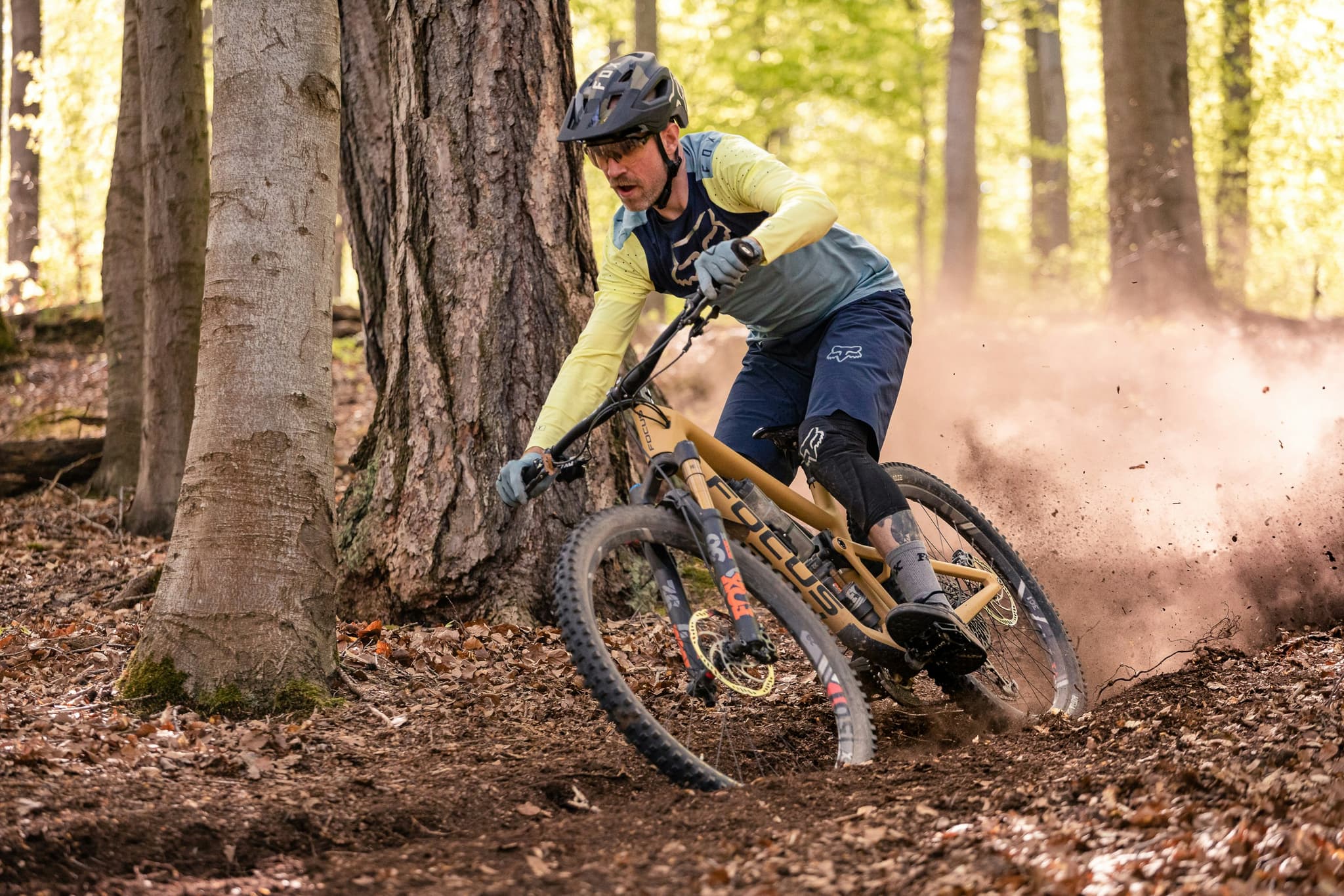 Mountainbiker auf Waldweg Mountainbiker fährt auf einem beigen Bike auf einem staubigen Waldweg, umgeben von hohen Bäumen.