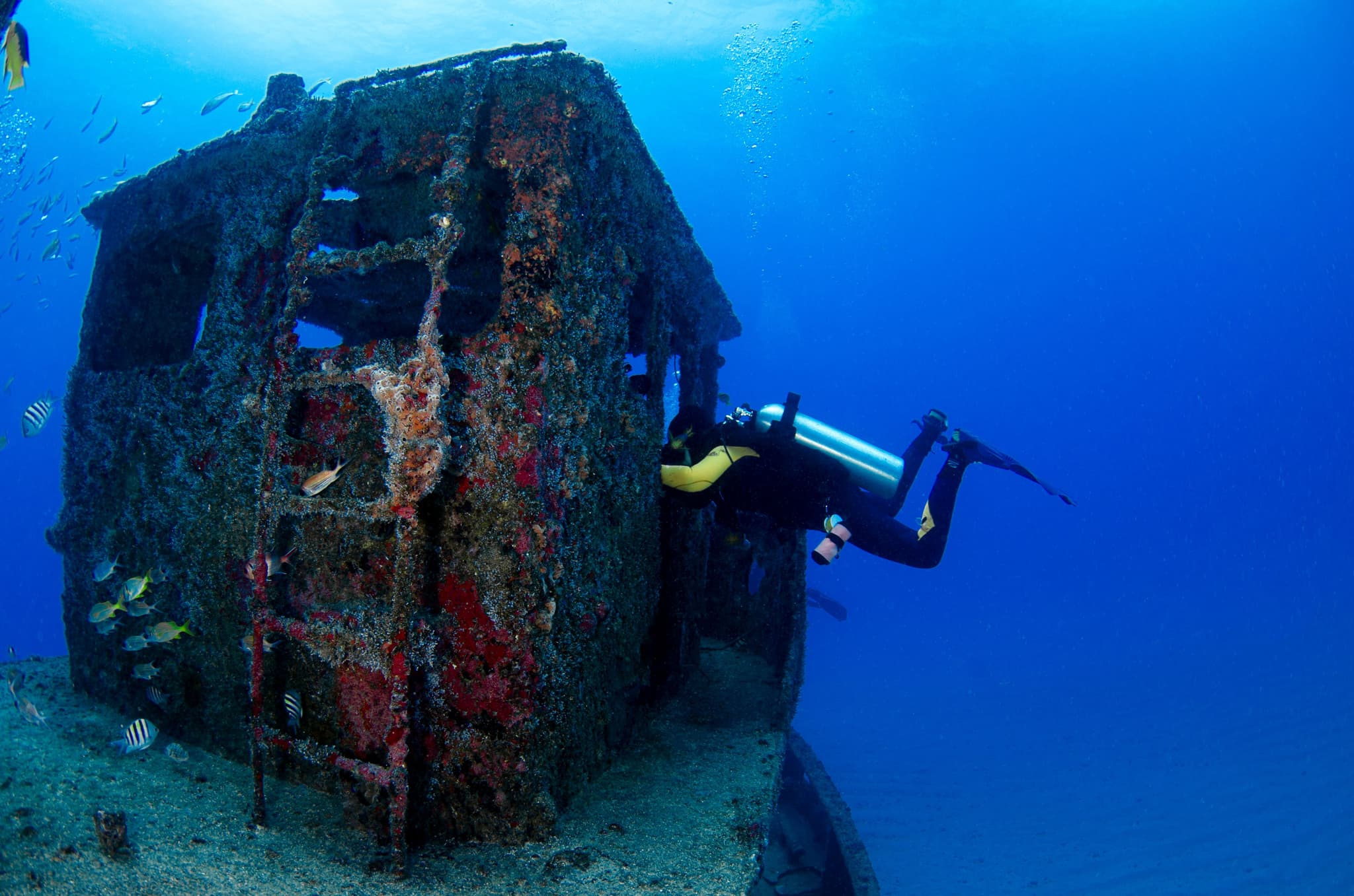 Scuba Diver Exploring Sunken Shipwreck Scuba diver with underwater light exploring a coral-encrusted sunken shipwreck structure in deep blue ocean water.
