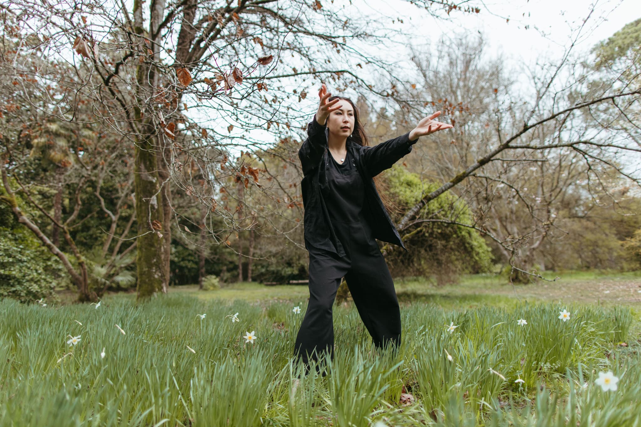 Woman Reaching Toward Tree Branches in Spring Meadow Woman in black clothing reaching toward bare tree branches in a spring meadow with white flowers and budding trees.