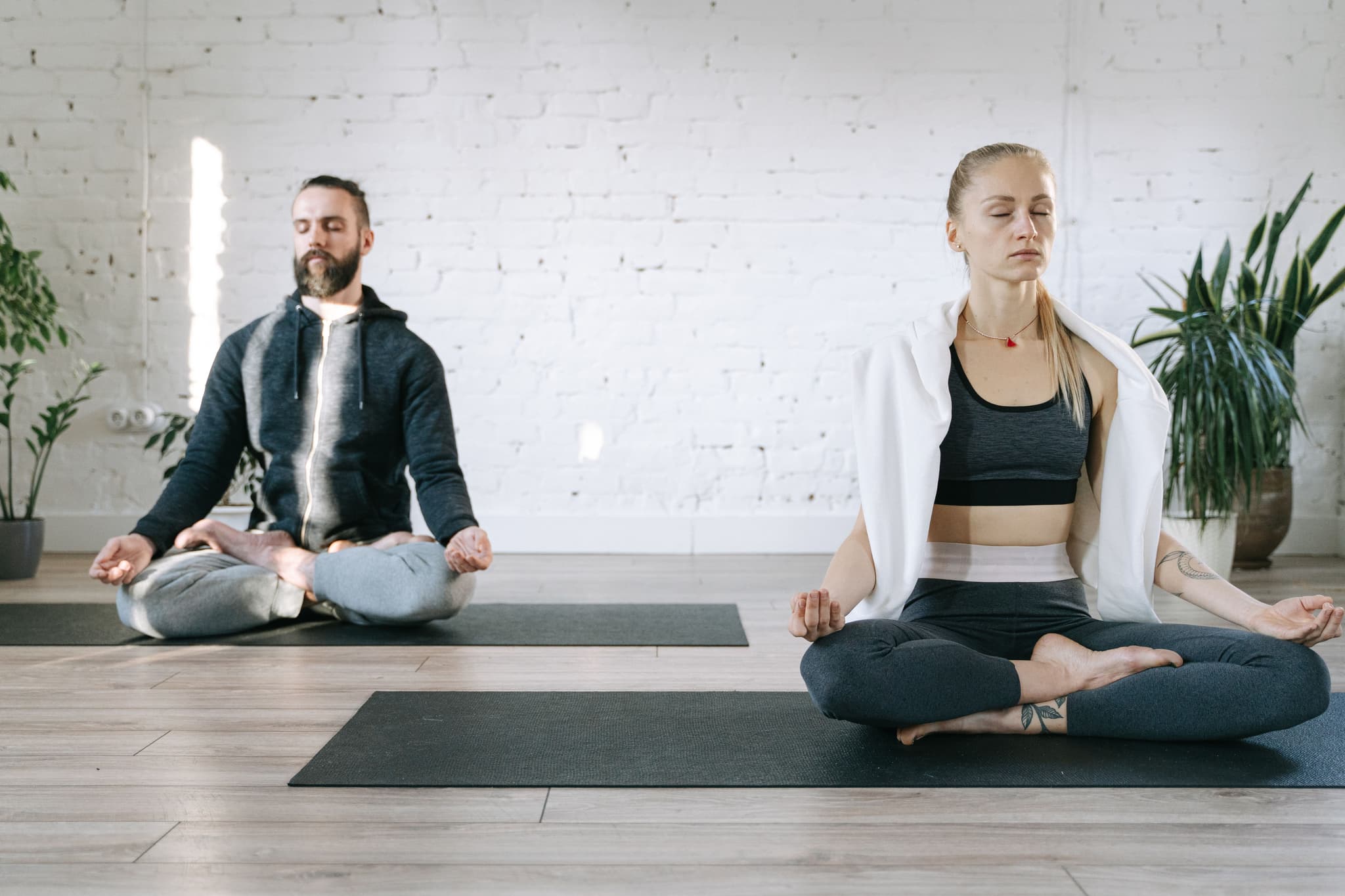 Two People Meditating in Yoga Studio Two people sitting cross-legged on yoga mats in a bright studio with white brick walls and potted plants.