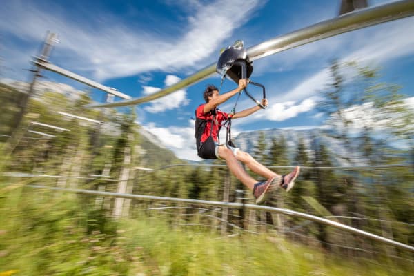 Zipline Adventure Through Forest Person in red shirt ziplining through a forested mountain landscape with blue sky.