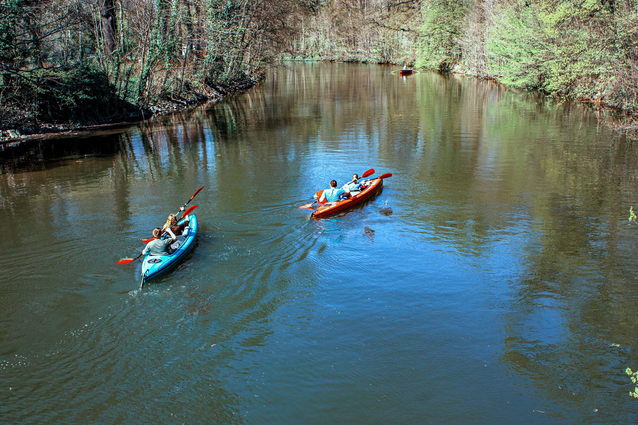 Kayakers on Forested River Two kayaks with paddlers on a calm river surrounded by dense green forest and bare trees.