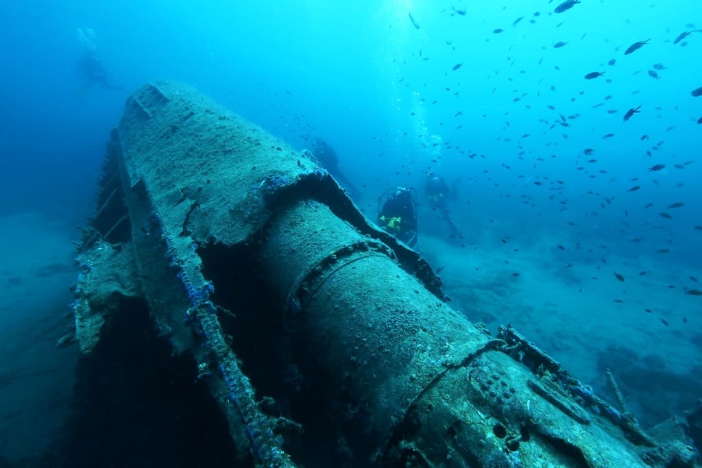 Sunken Shipwreck Hull With Divers Divers exploring a sunken ship's hull surrounded by a large school of fish.