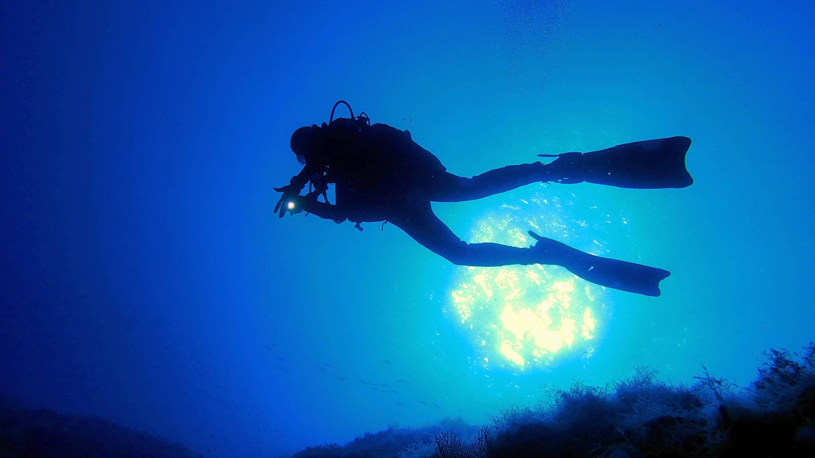 Scuba Diver Silhouette Over Sunlit Reef Scuba diver silhouette swimming over a reef with sunlight glowing above.