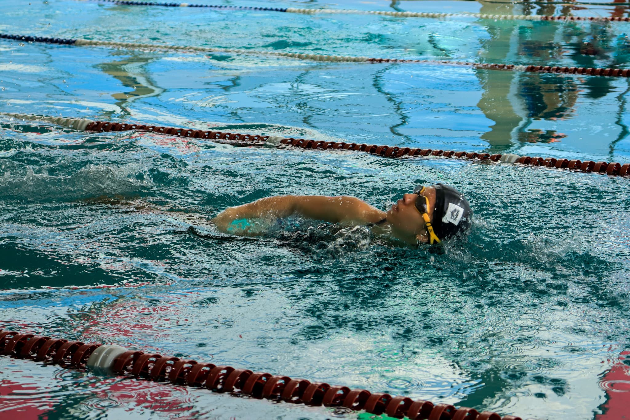Swimmer in Lap Pool Freestyle Stroke Swimmer performing freestyle stroke in an indoor lap pool with lane dividers.