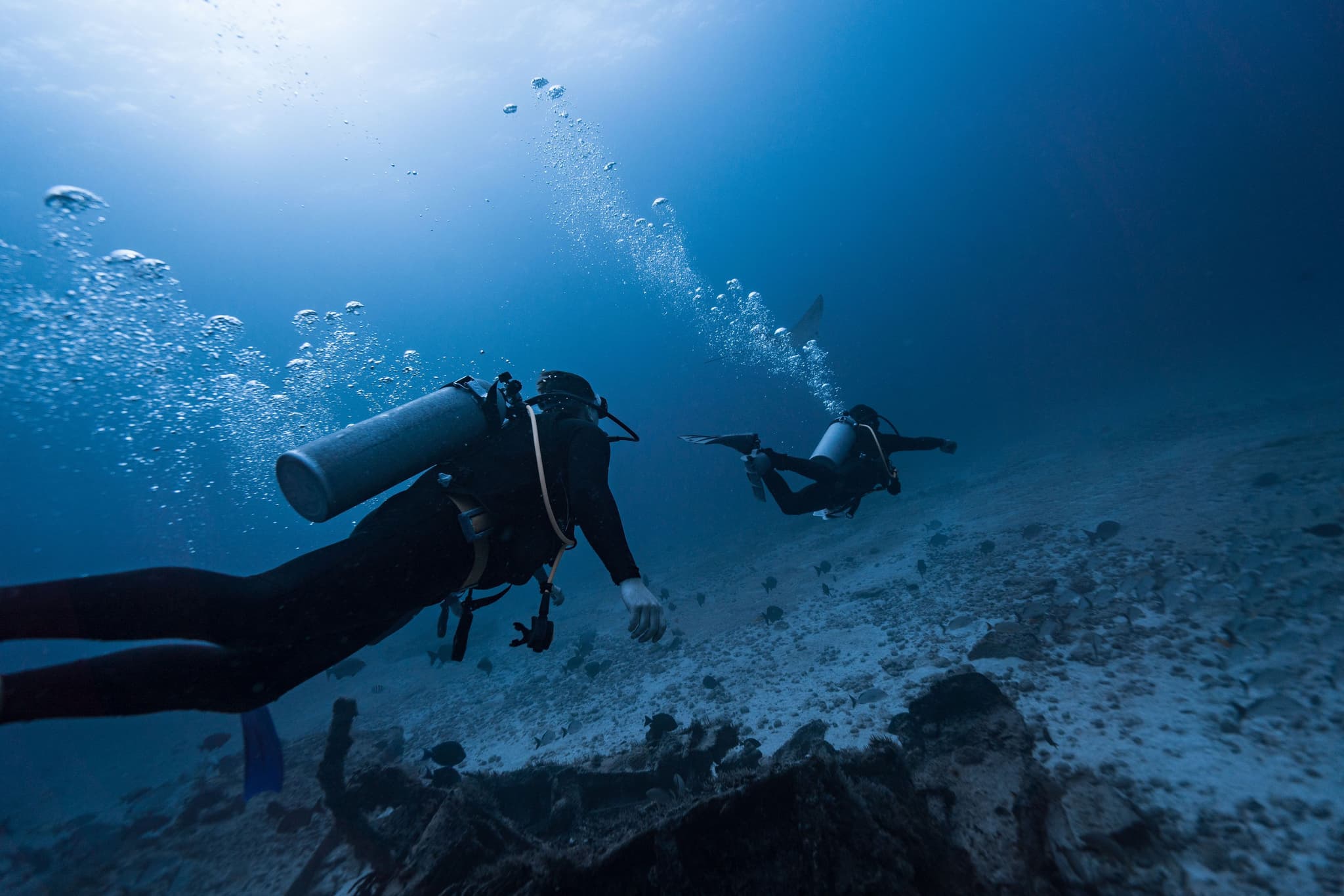 Scuba Divers Exploring Underwater Seabed Two scuba divers exploring a sandy seabed underwater, with air bubbles rising toward the surface.