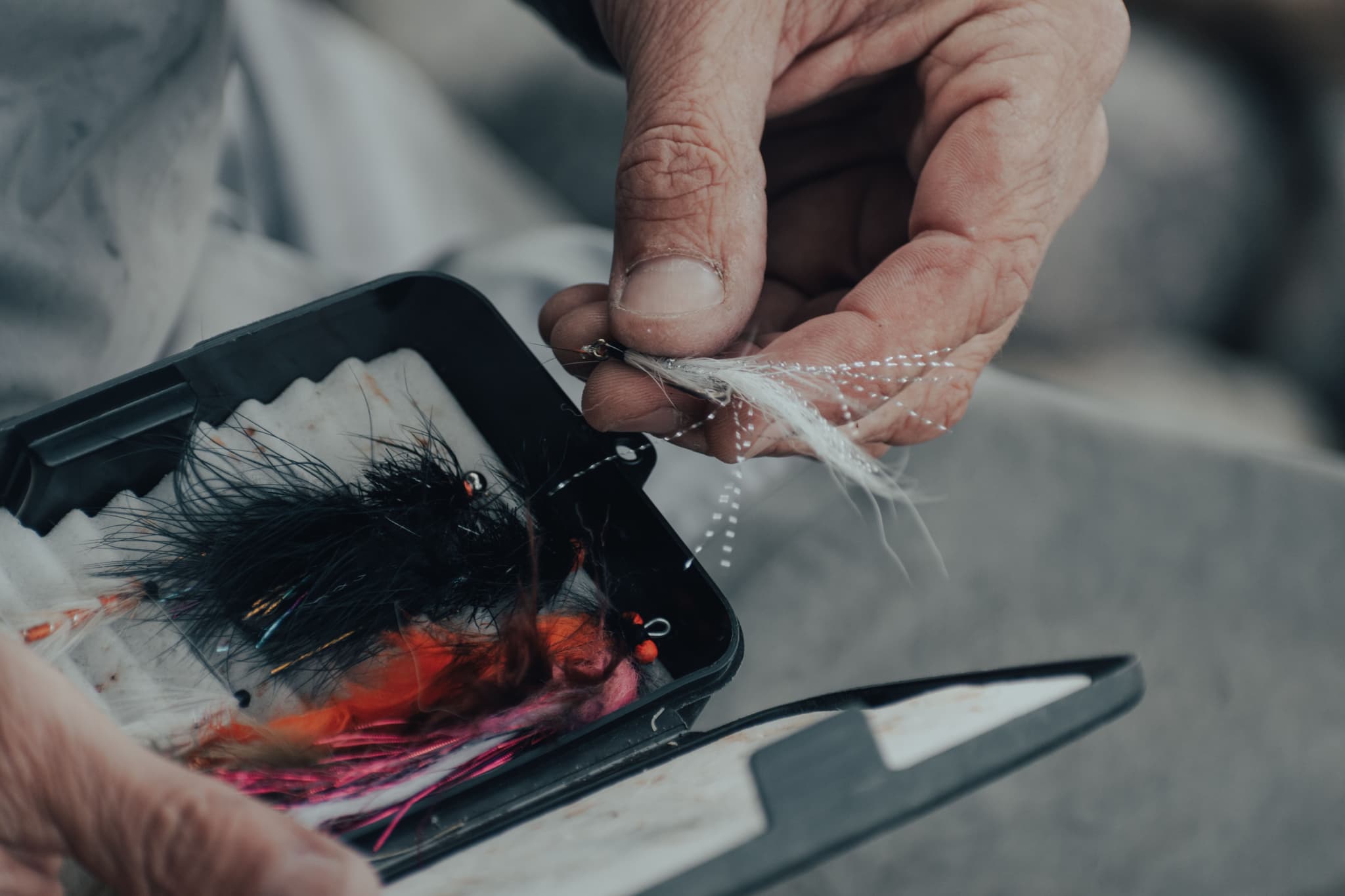 Angler bindet Fliegenfischen-Köder Nahaufnahme von Händen, die eine Fliegenfischen-Fliege mit schwarzen und roten Fasern an einen Haken binden.