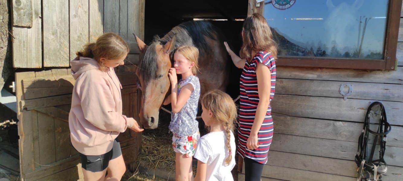 Family Petting Horse at Stable Family petting a brown horse standing in a wooden stable doorway.