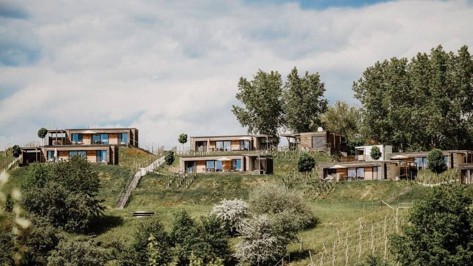 Modern Homes on Terraced Hillside Modern residential homes built into a green hillside with terraced landscaping and mature trees.