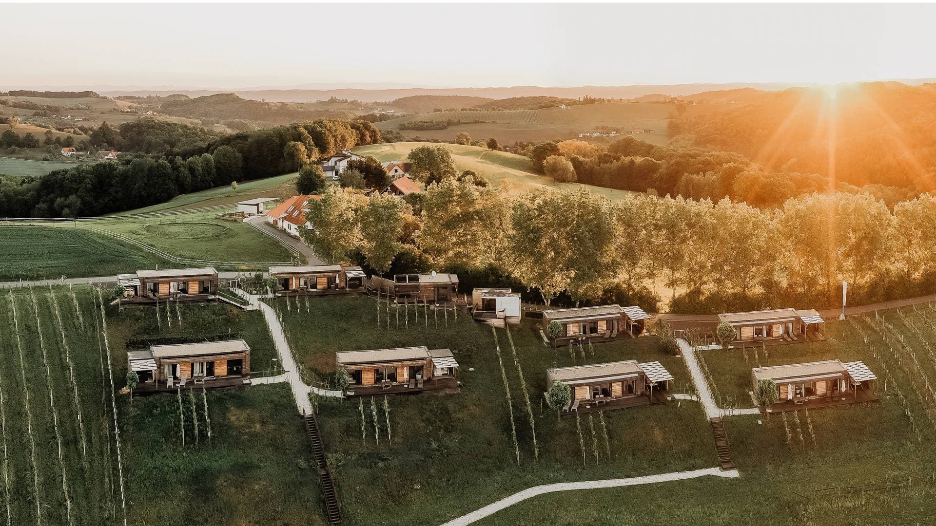 Hillside Glamping Cabins and Vineyard Landscape Aerial view of modern wooden cabins nestled on terraced hillsides with vineyard rows, surrounded by green fields and forested hills at sunset.