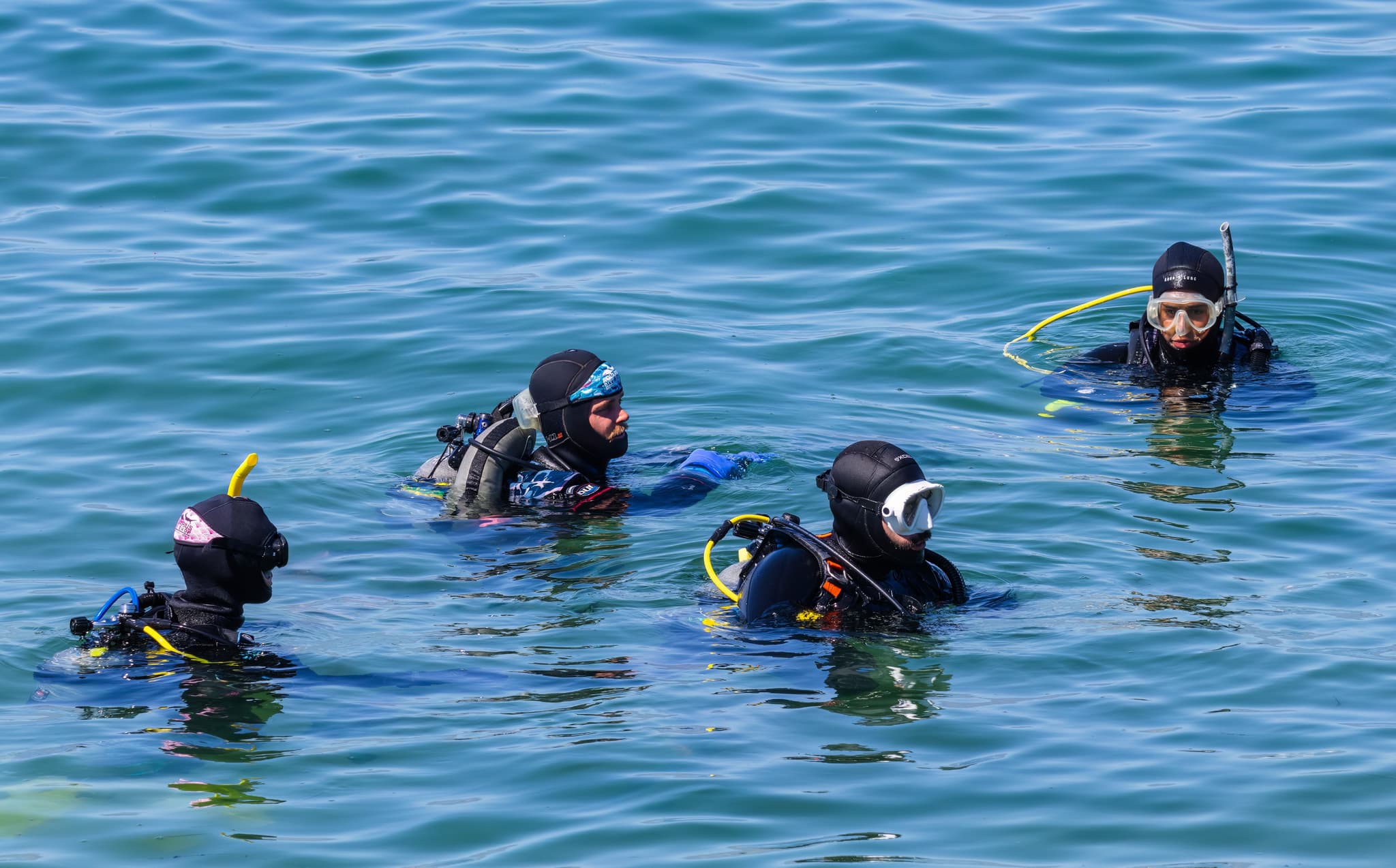 Divers resting at the water surface Four divers in wetsuits floating at the surface of open water.