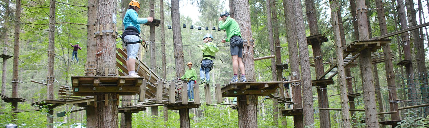 High Ropes Course in the Forest People wearing helmets navigate a high ropes course between tall forest trees.