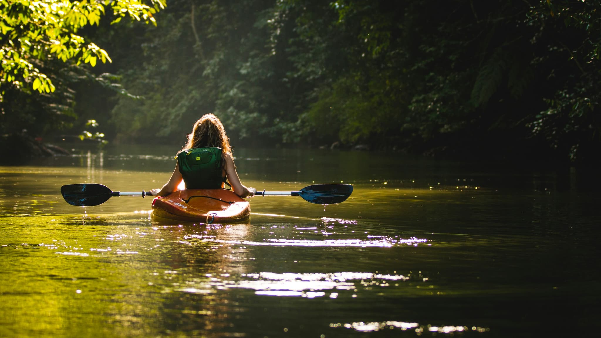 Kayakers on Forest River Person paddling in a kayak on a calm river, surrounded by dense green forest with filtered sunlight through the