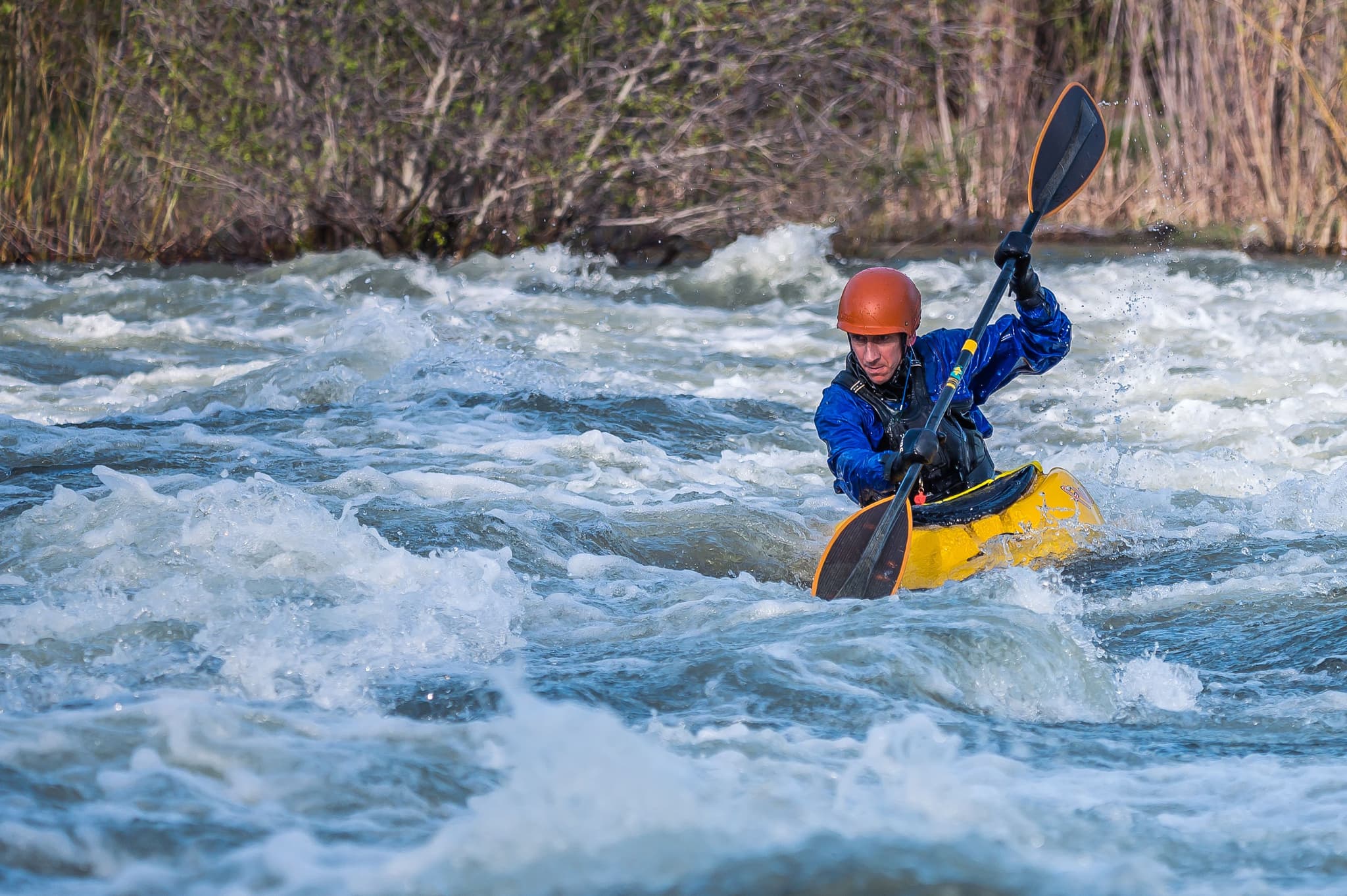 Kayaker Navigating Whitewater Rapids Kayaker in a yellow kayak navigating whitewater rapids on a river with reeds along the shoreline.