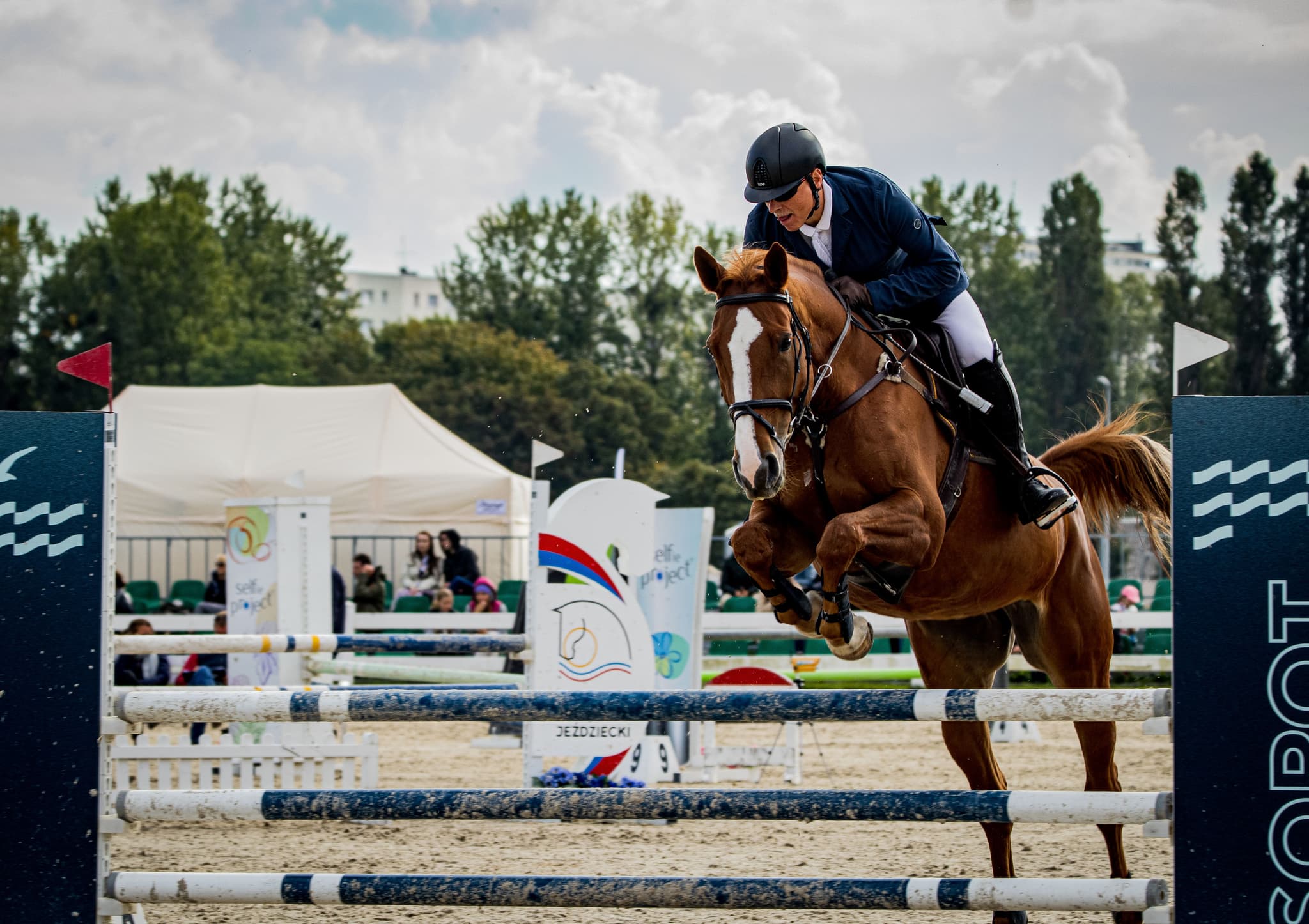 Equestrian Rider Jumping Horse Over Obstacle Equestrian rider in navy jacket jumping a brown horse over a blue and white rail obstacle during a competition.