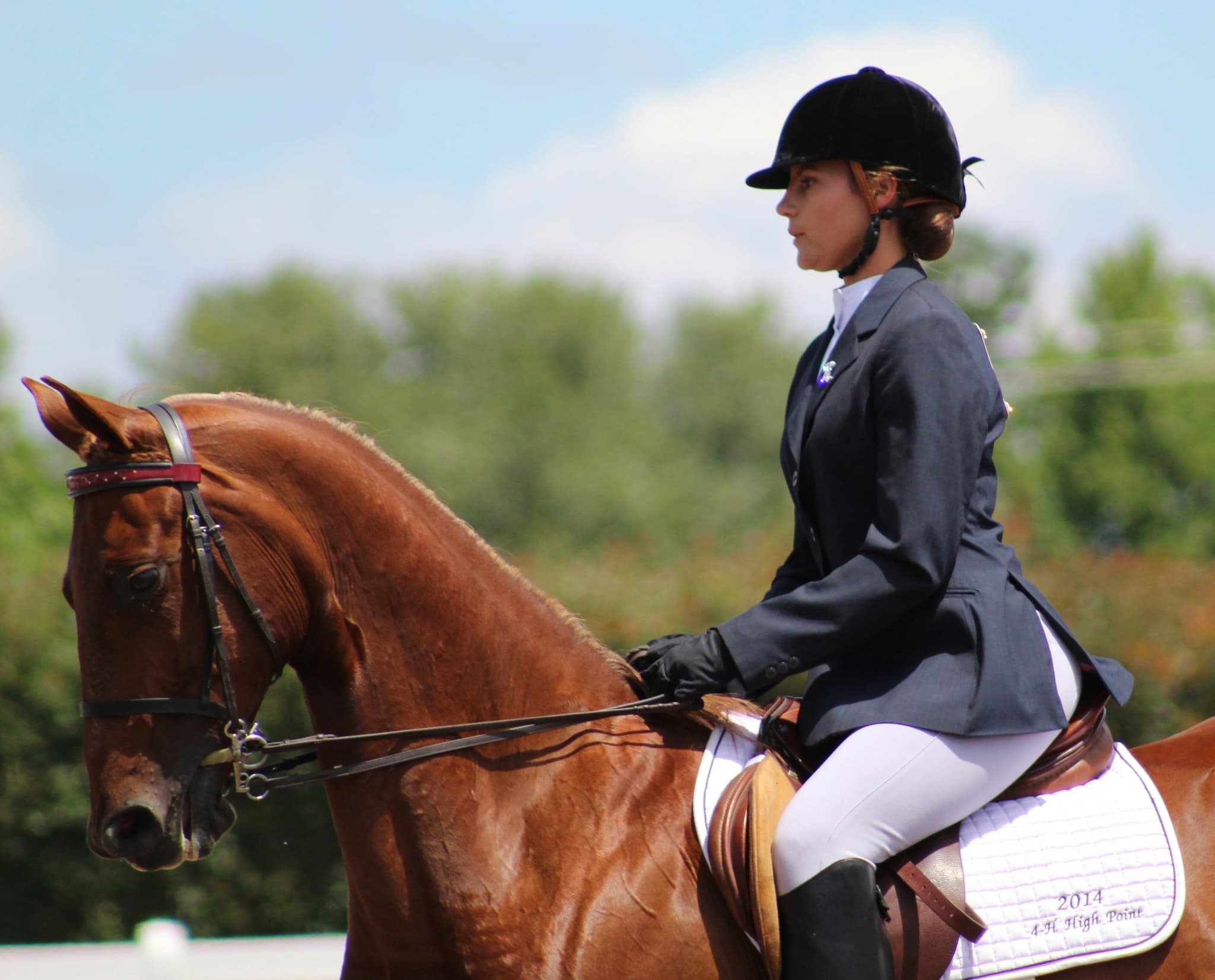 Show Jumper on Chestnut Horse Show jumper in formal black jacket and helmet on a chestnut horse at an outdoor equestrian competition.