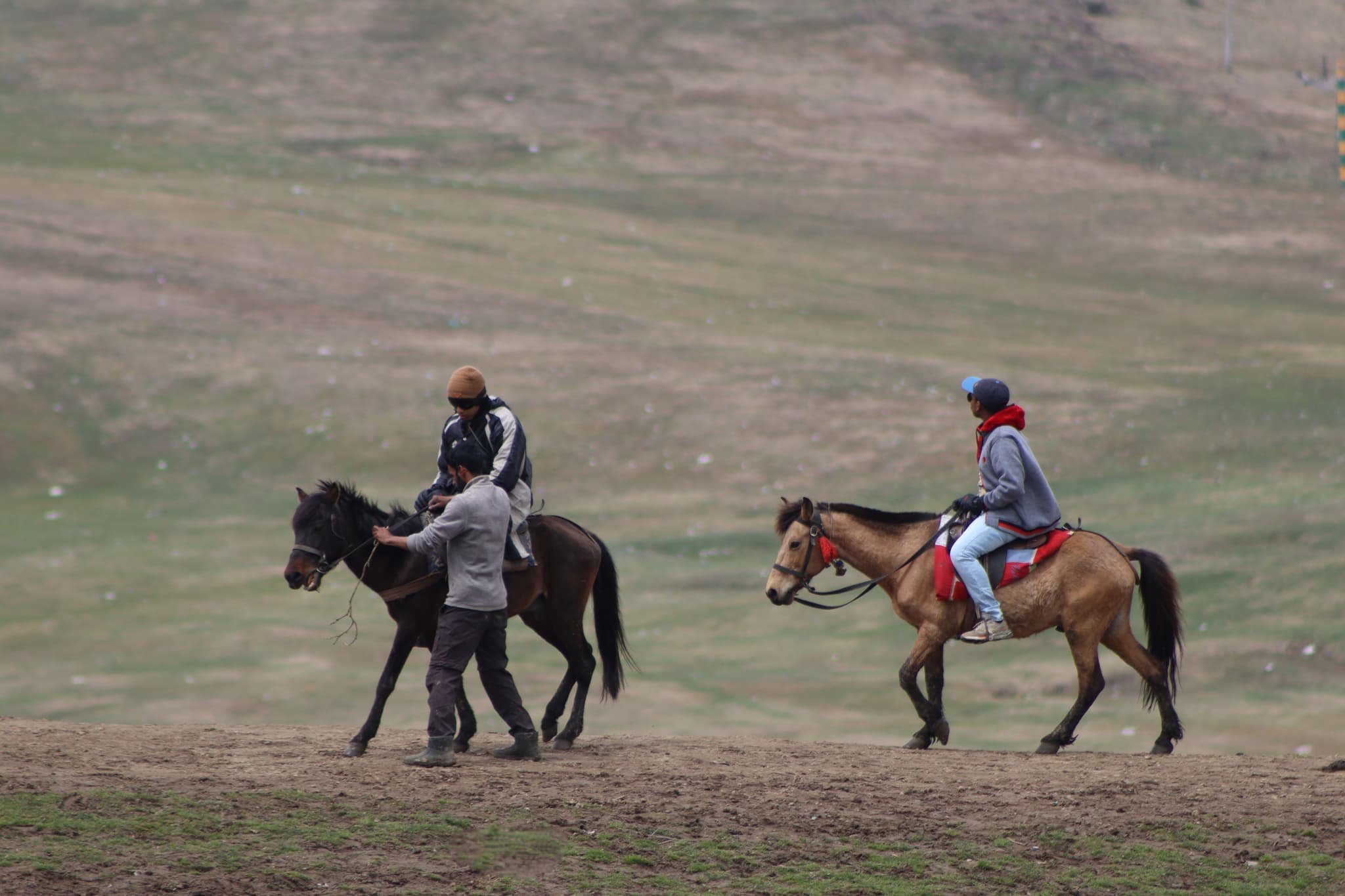 Horseback Riders on Mountain Terrain Two people riding horses on a dirt path with rolling hills in the background.