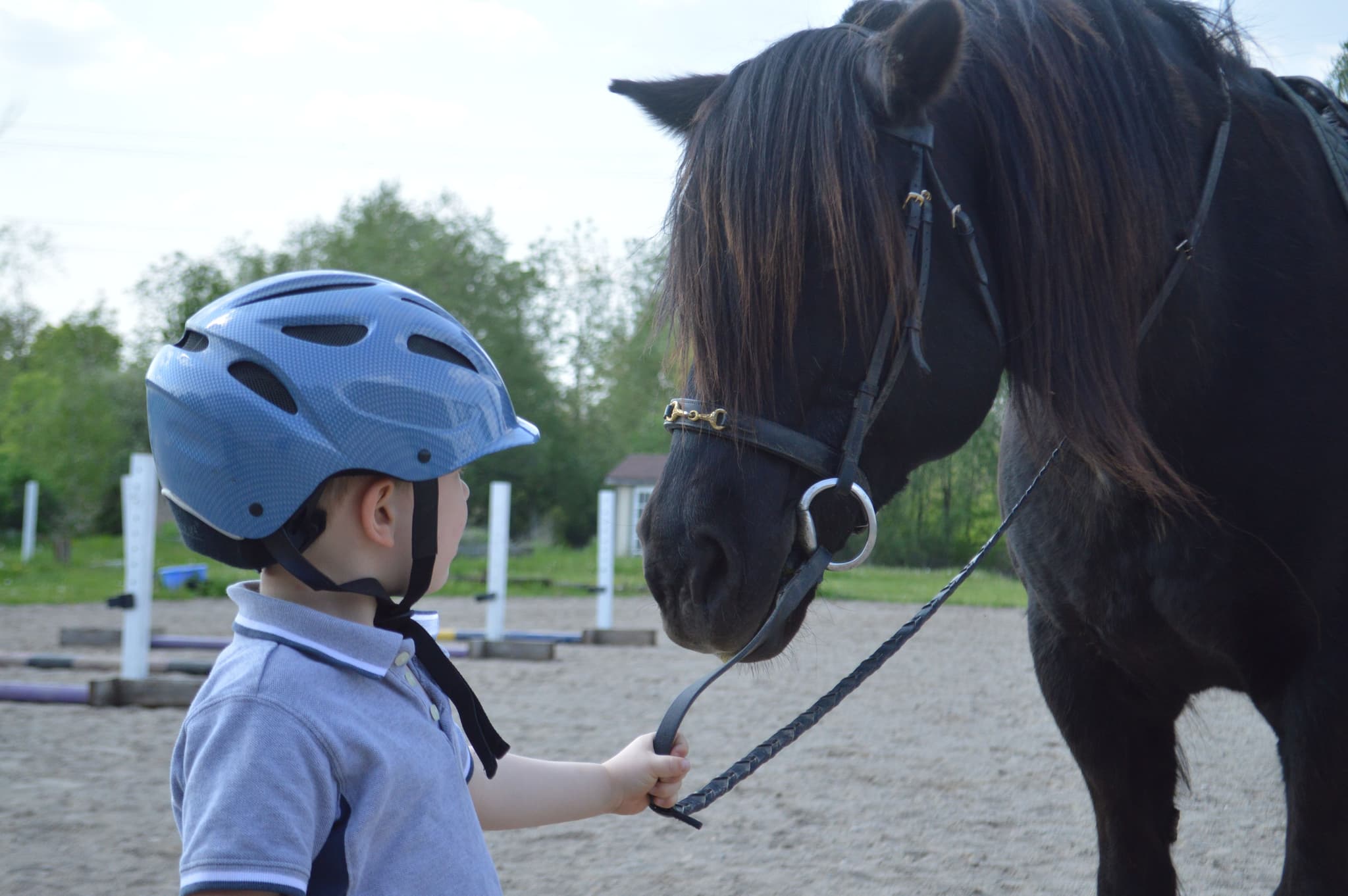 Child With Horse in Riding Arena Child wearing a blue safety helmet holding the lead rope of a black horse in an outdoor riding arena.