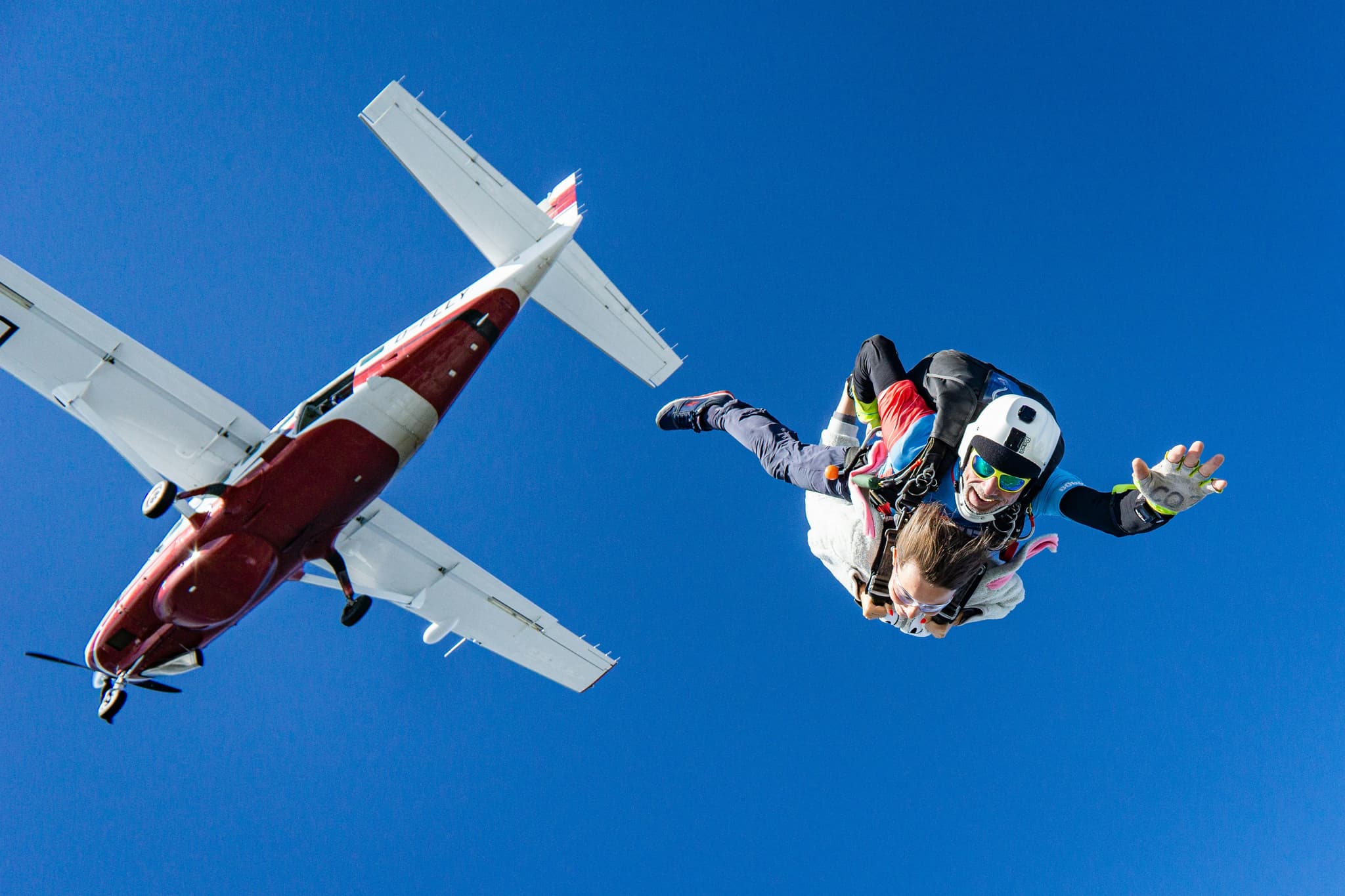 Skydiver exits aircraft in freefall Skydiver in freefall next to a red and white aircraft against a clear blue sky.