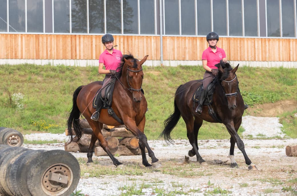 Riders Trotting in Outdoor Arena Two riders in pink shirts trotting on horses in an outdoor training arena.