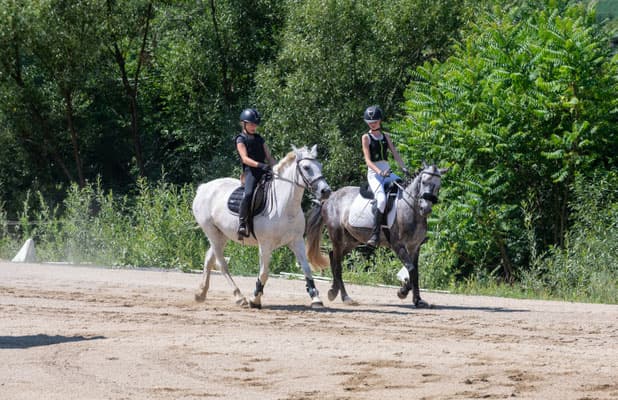 Riders on Horseback in Sandy Arena Two young riders on horseback trotting along a sandy arena near trees.