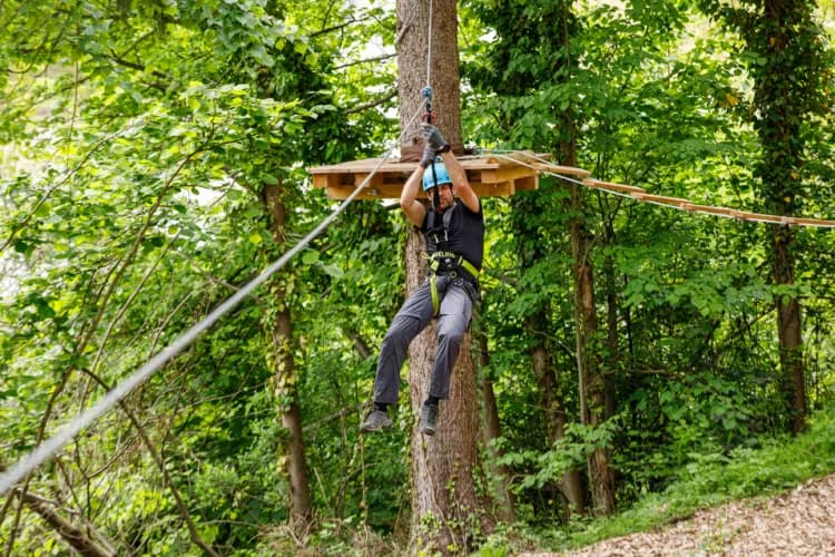Zipline Adventure Through Forest Canopy Person ziplining through a dense green forest canopy on a suspended cable course.