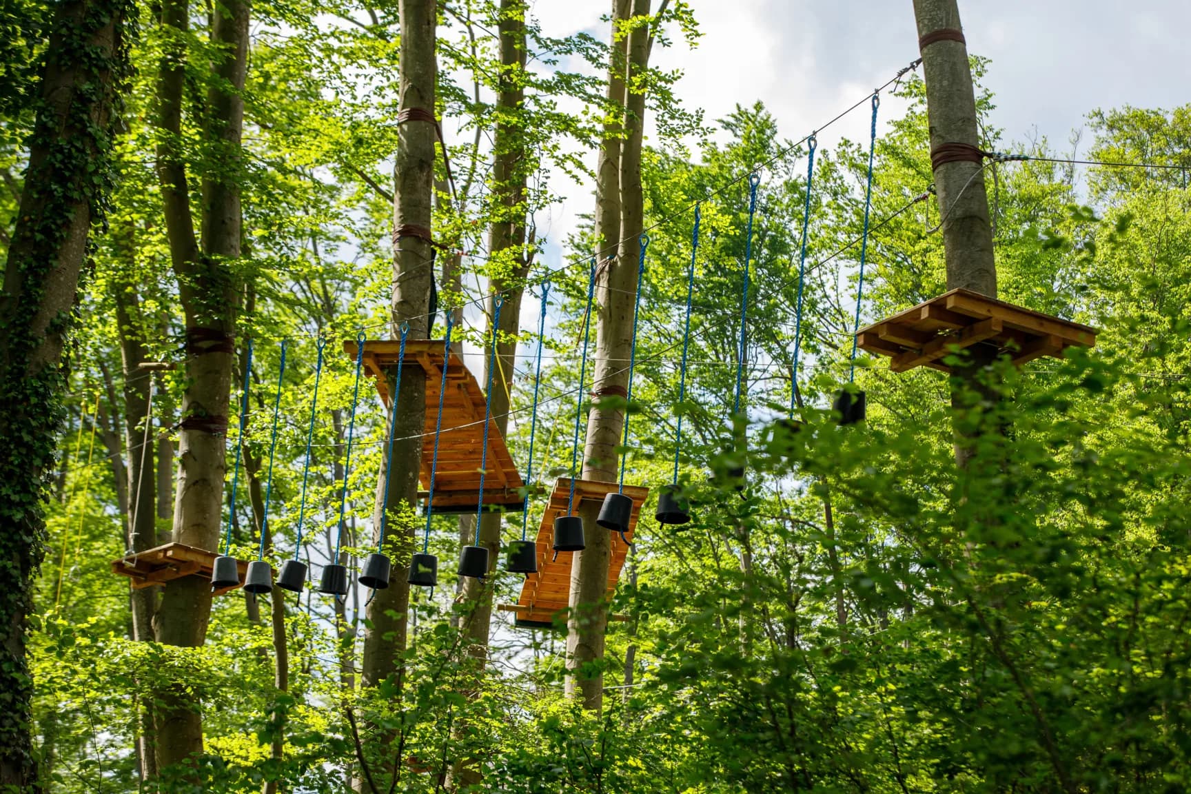 Treetop Obstacle Course in Forest Wooden platforms and black buckets suspended between tall trees in a forest canopy obstacle course.