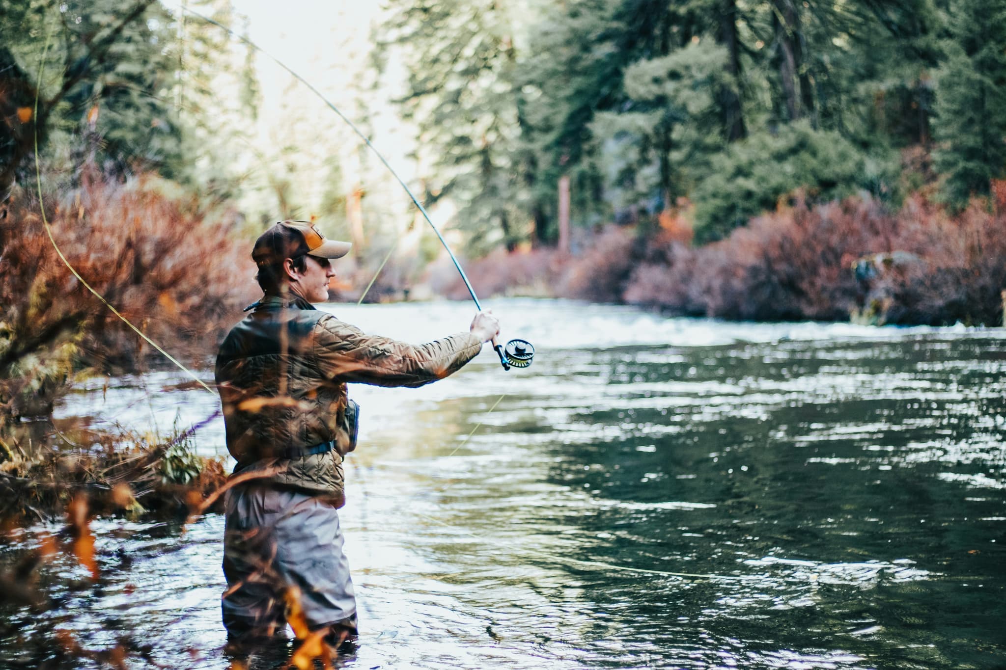 Fly fisherman casting on a forest river A fly fisherman casts his line into a river, surrounded by coniferous forest and autumn vegetation.