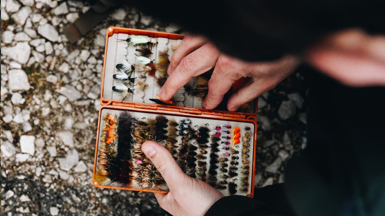 Insect Specimen Collection in Orange Case Person holding an open orange specimen case displaying preserved insects arranged in rows on rocky ground.