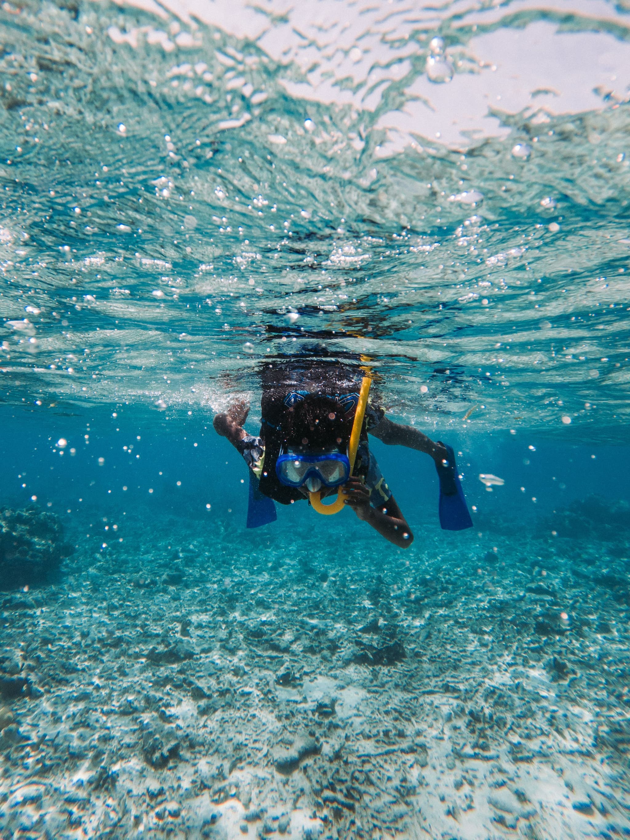 Snorkeler in Clear Turquoise Water Snorkeler in blue fins and mask swimming underwater in clear turquoise water above a sandy bottom.