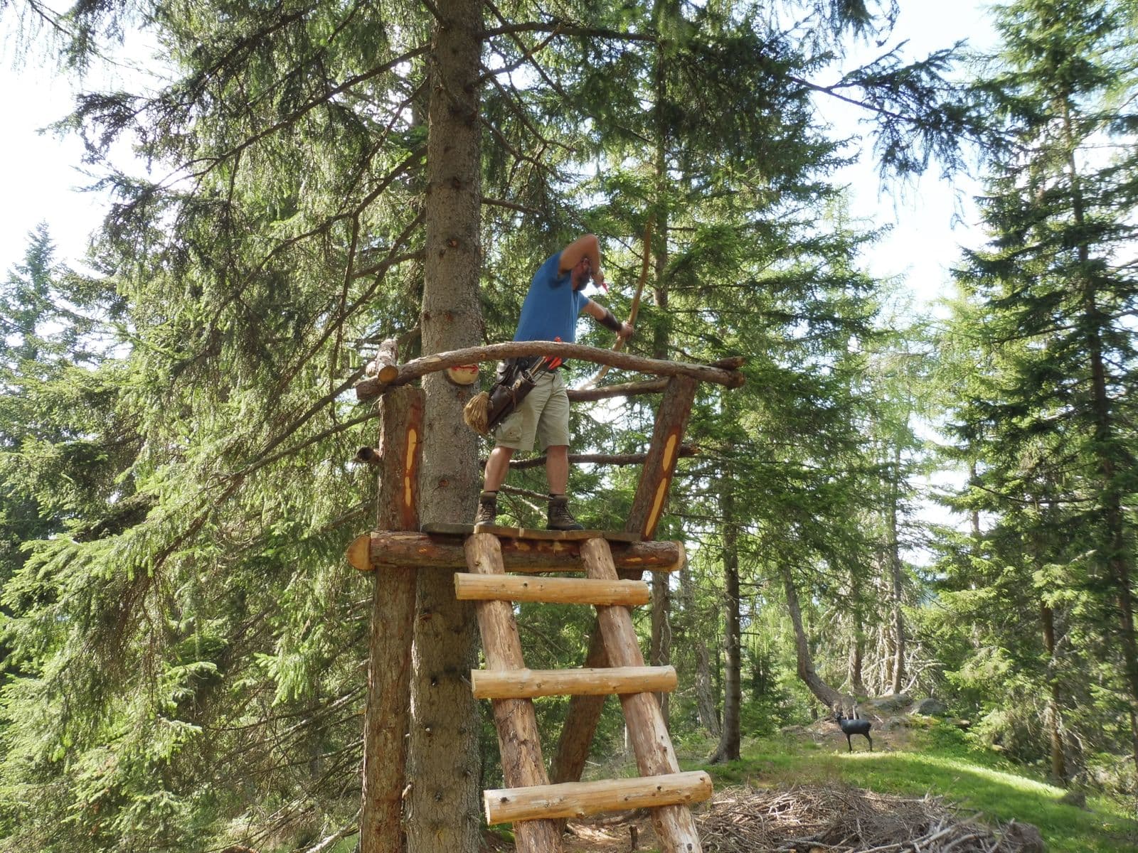 Holzkonstruktion im Wald erklimmen Person in blauem Hemd erklimmt eine Holzkonstruktion mit Seil und Holzsprossen in einem Nadelwald.