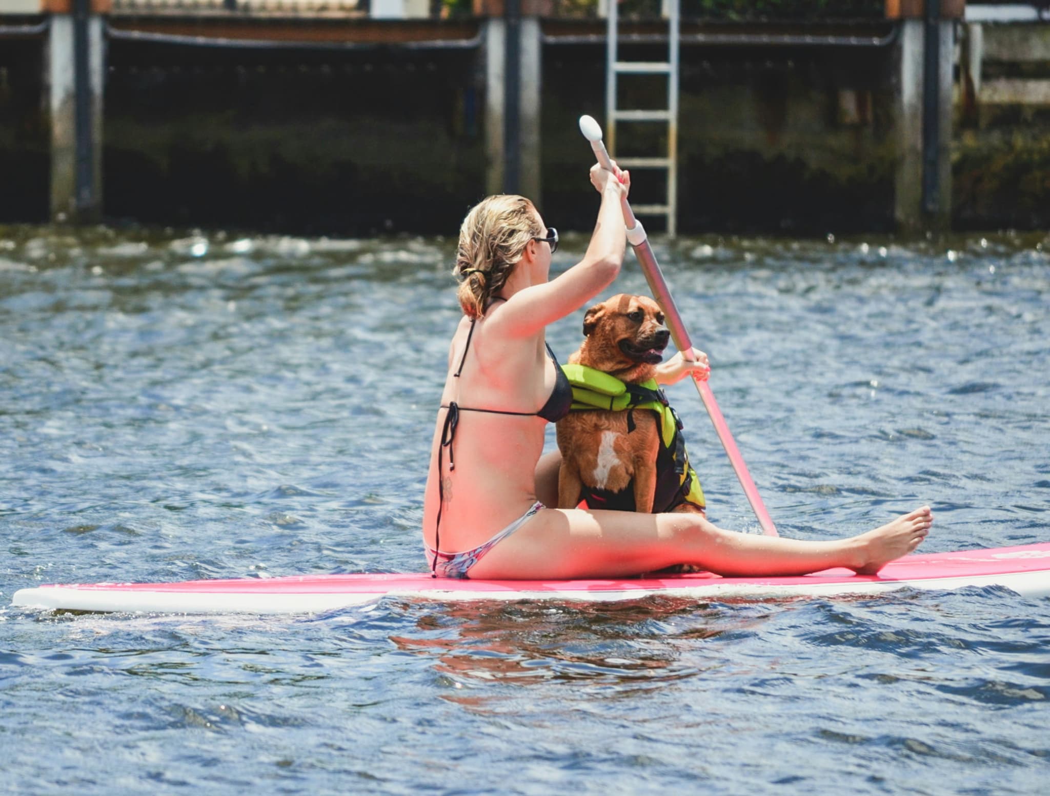 Stand-Up Paddleboarding with Your Dog on the Water Person stand-up paddleboarding on a pink board with a brown dog wearing a yellow life jacket.