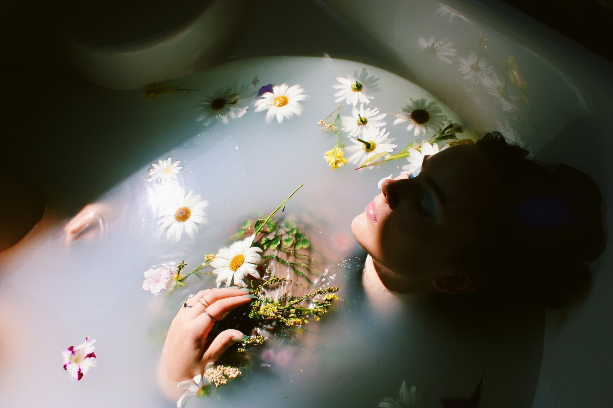 Person Floating Among Daisies in Water Person floating in water surrounded by white daisies and green foliage.