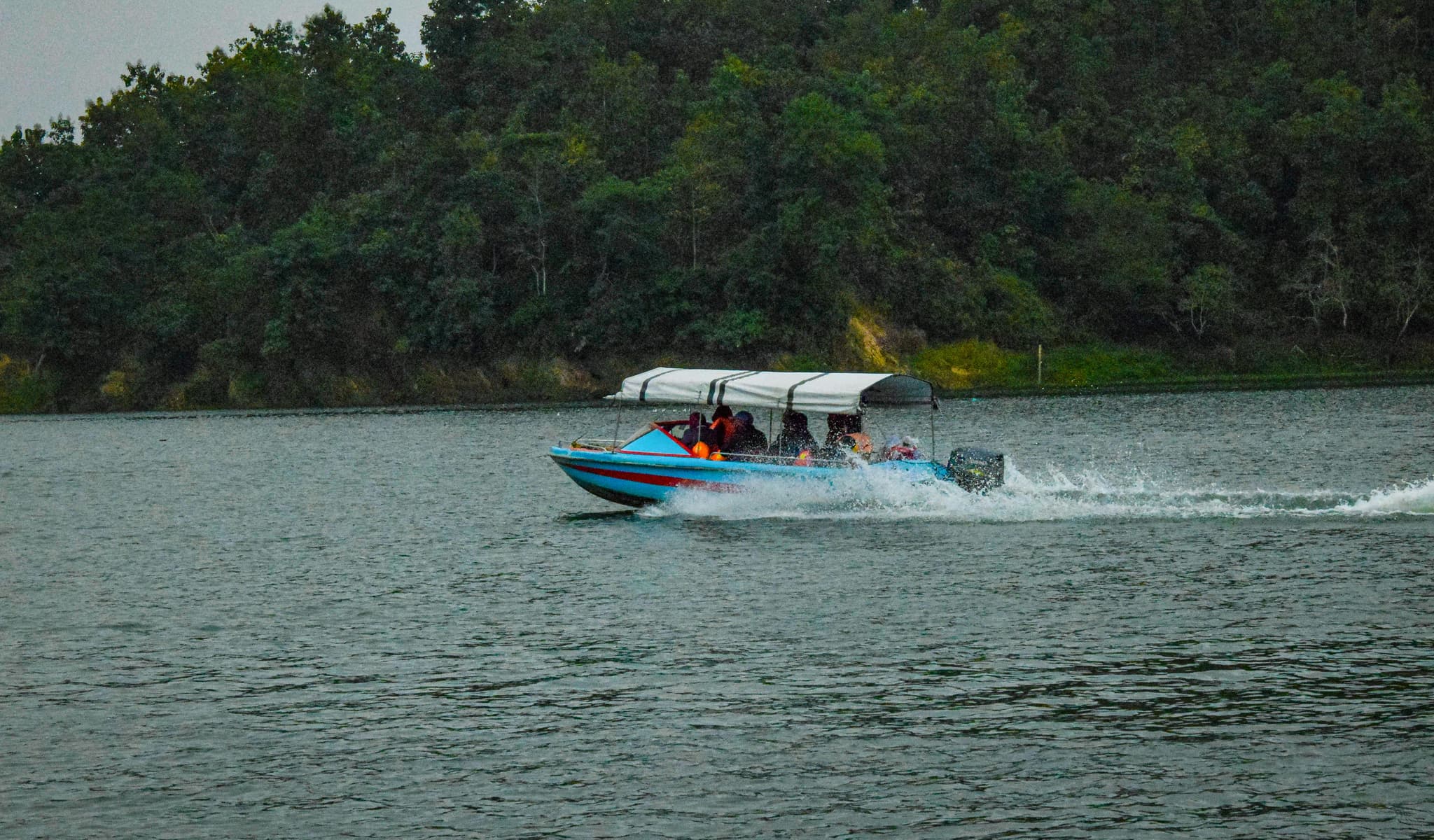 Speedboat on Forested Waterway Blue speedboat with white canopy carrying passengers on a calm waterway lined with dense green forest.