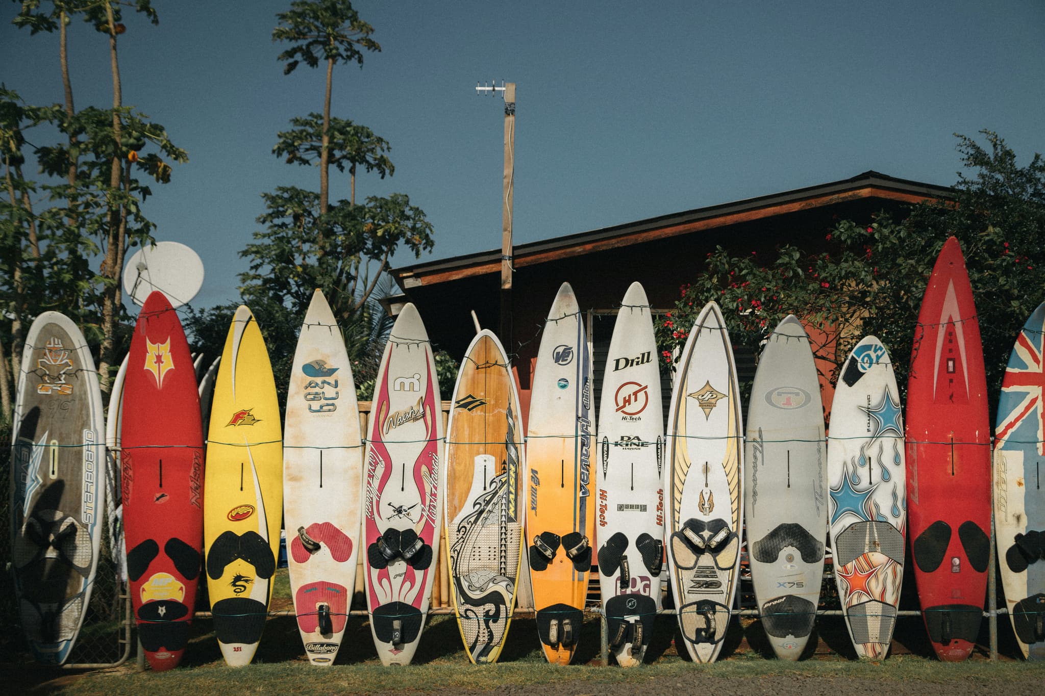 Colorful surfboards lined up outdoors A collection of colorful surfboards arranged in a row against a building with palm trees and clear sky in the background.