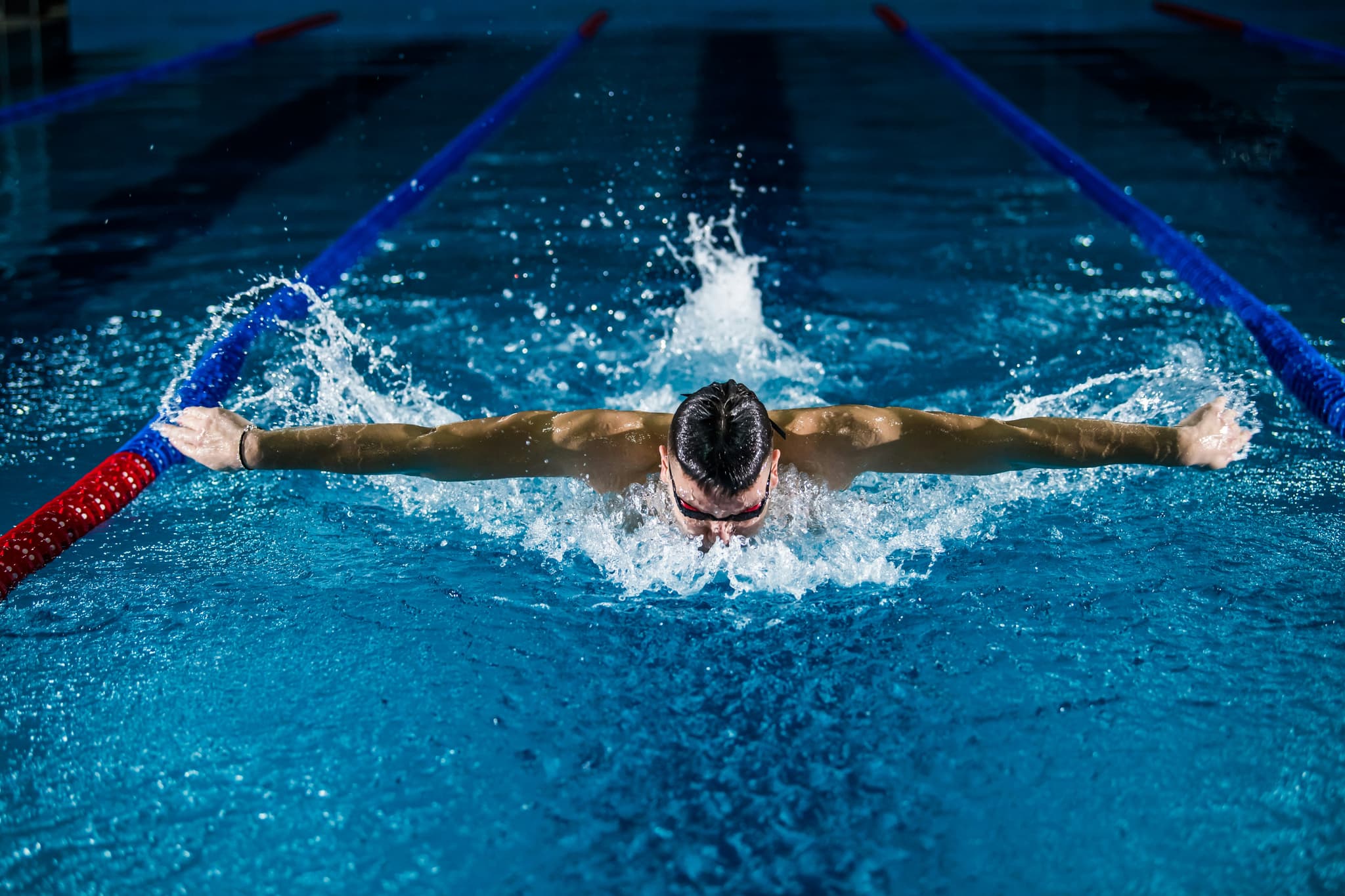 Swimmer performing butterfly stroke Competitive swimmer performing butterfly stroke in an indoor pool with lane dividers.
